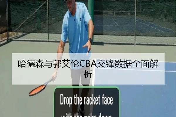 哈德森与郭艾伦CBA交锋数据全面解析